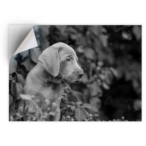 Vinyl sticker bw - x,