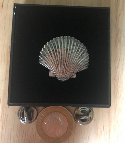 Sea shell pin badge real - sea,