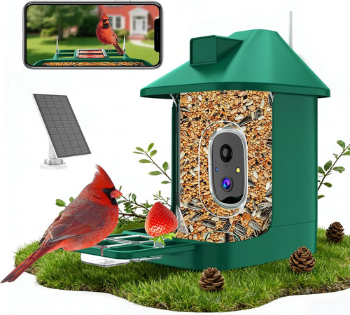 Bird feeder with camera - bird,