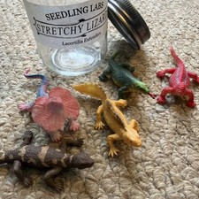 Seedlings Lab Stretchy Lizards: 5 Assorted Colours in Jar - Great Gift! VGC
