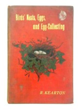 Birds Nests, Eggs and Egg