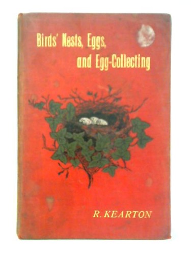 Birds nests eggs - birds,