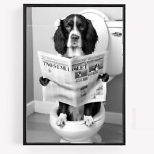 Funny bathroom springer spaniel dog on toilet Print Picture Poster Unframe A4