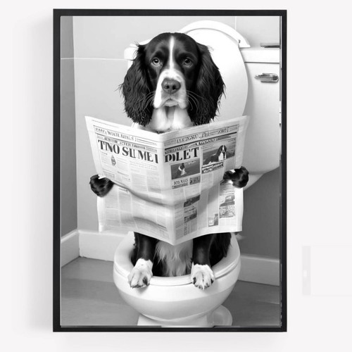 Funny bathroom springer