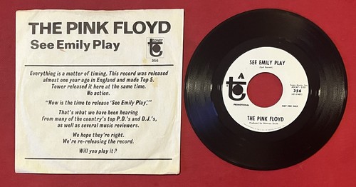 The pink floyd - pink, floyd~see