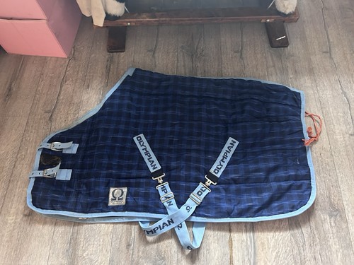 Olympian rug collection stable - rug,