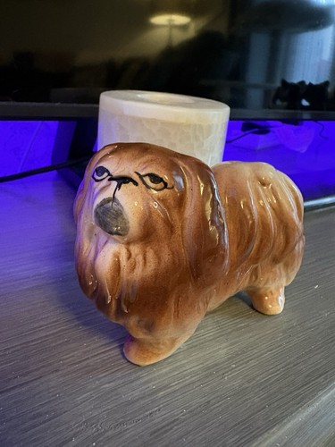 Vintage pekingese dog - vintage,