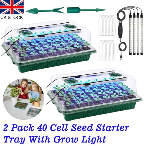 Holes seed trays with - trays,