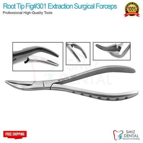 Fig 301 root tip - root,