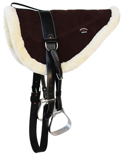 Challenger horse western - challenger,