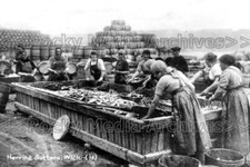 Hhj-63 Herring Gutters, Wick