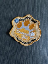 Girlguiding Laser Growing Up