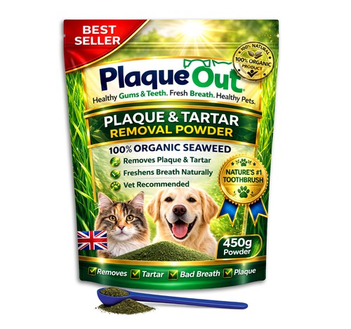 450g plaque out dogs and - out, cats