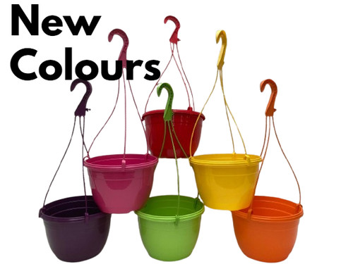 20cm hanging baskets - 2.5l,