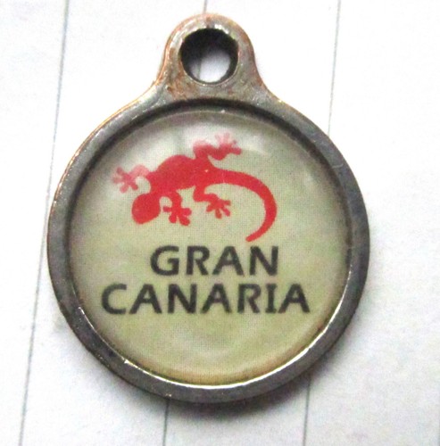 Gran canaria red lizard geko - canaria, /