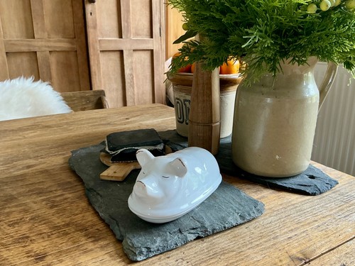 Farmyard collection pig white - farmyard,