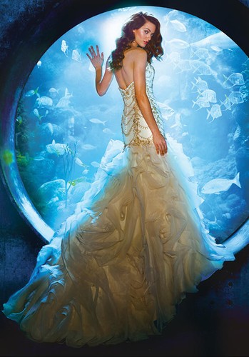 Alfred angelo wedding - angelo,