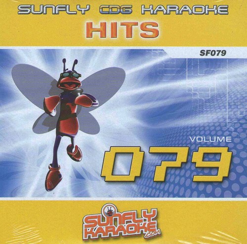 Sunfly hits karaoke disc vol - sunfly,