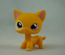 Short Hair Cat Purple Moon