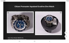 citizen promaster aqualand titanium