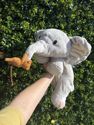 Elliot buttons elephant - elliot,