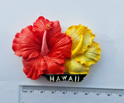 Hawaii usa hibiscus - hawaii,