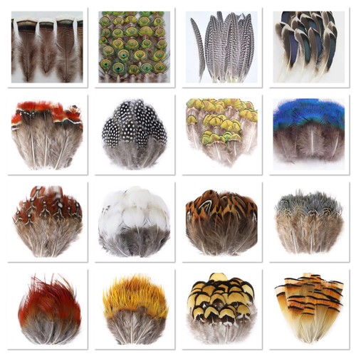 Types natural feathers - 28,