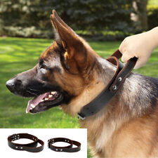 Leather Training Dog Collar