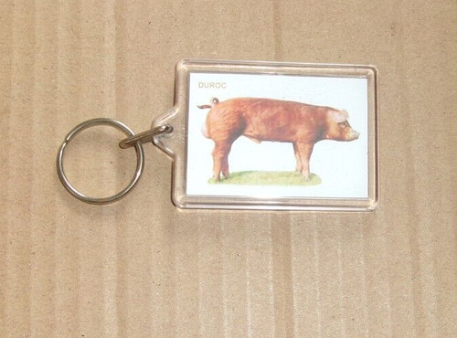 Duroc pig keyring - duroc,