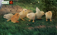Baby Chicks on Green Base Toy