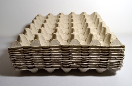 Cardboard pulp chicken - x,