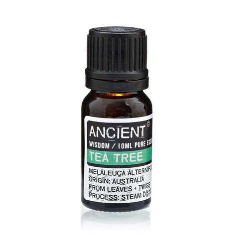 Tea tree essential - tree, oil