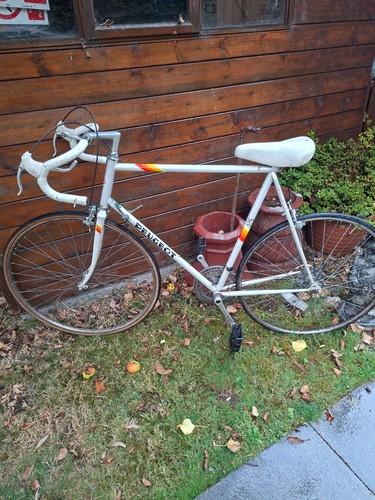 Vintage 1980s retro - vintage, peugeot