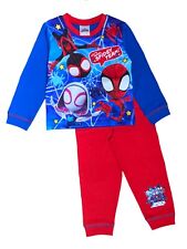 Boys Spiderman Pyjamas Spidey