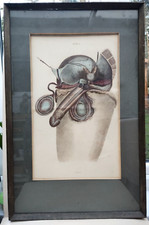 4 x ORIGINAL large mid C19