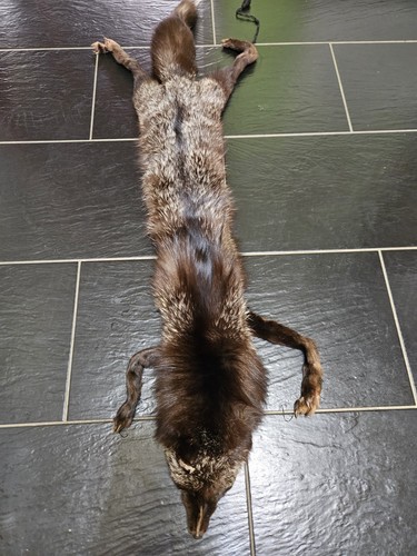 Vintage real fox fur - fox,