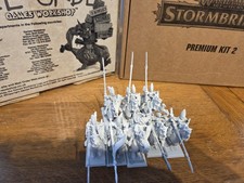 Warhammer Fantasy Battle High Elf Silver Helms set of 8 plastic miniatures