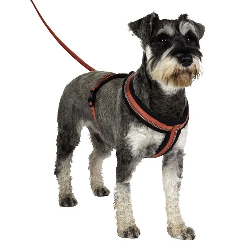 Halti comfy dog harness red - harness,