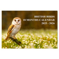 A4 British Birds Wall Calendar
