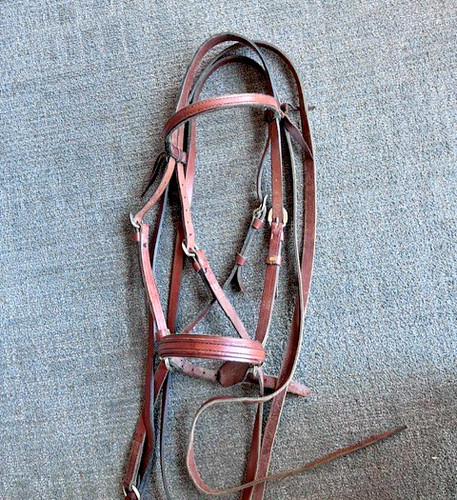 Bitless bridle cook - bridle, dr