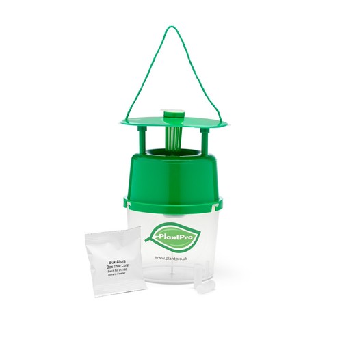 Plantpro box tree - box, trap