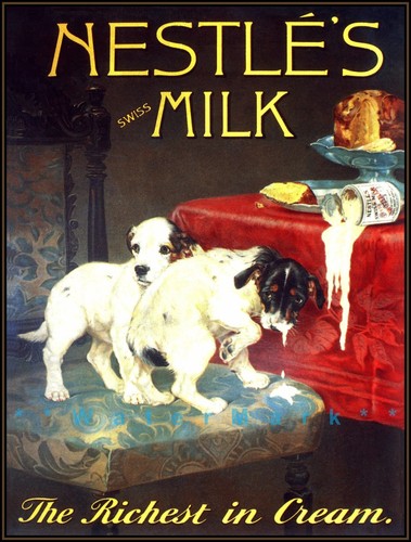 Nestle milk jack russell - milk,