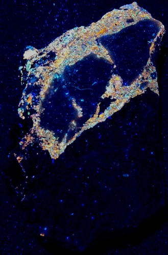 Small fluorescent - lw,