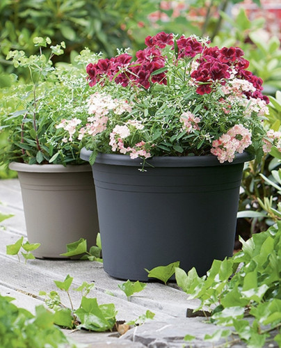 Outdoor flower pot - pot, plant