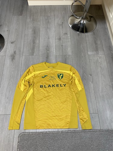 Norwich city match - norwich, paris