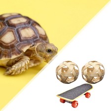 Turtle Training Skateboard Pet Mini Skateboard Turtle Feeder Ball Reptile