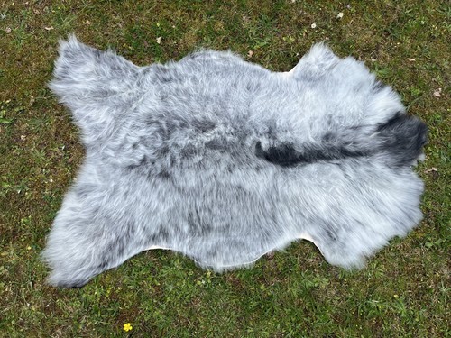 Nice new real rare - nice,