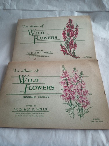 Album wild flowers - an,