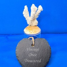 CORAL Natural White Sea Reef *