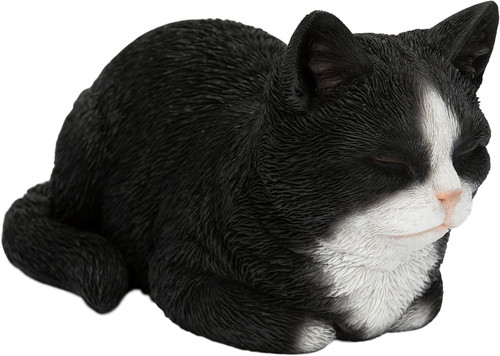 Dreaming cat black white - cat,